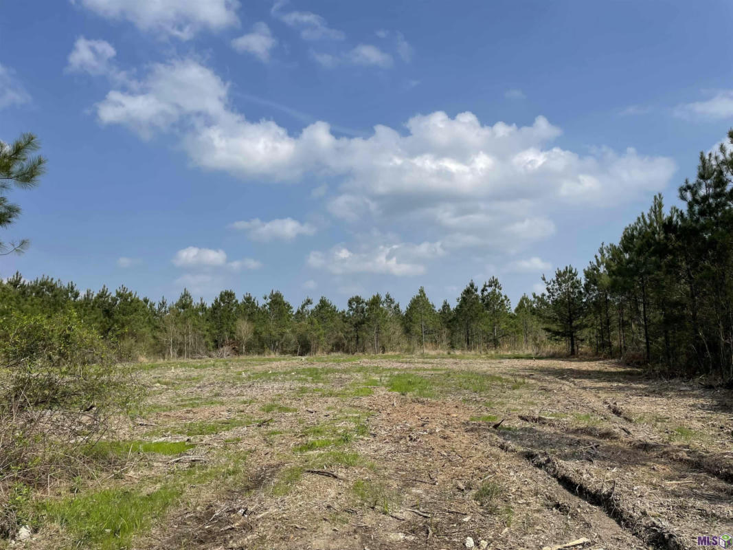 TRACT 15 LORIN WALL RD, HOLDEN, LA 70774, photo 1 of 4