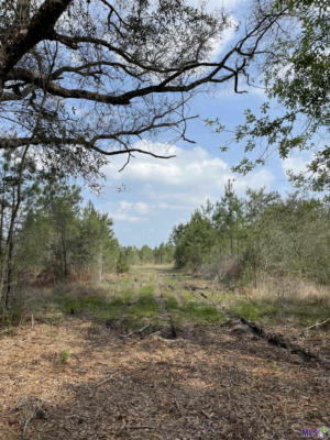 TRACT 16 LORIN WALL RD, HOLDEN, LA 70774, photo 3 of 4