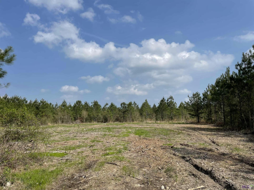 TRACT 10 LORIN WALL RD, HOLDEN, LA 70744, photo 1 of 4