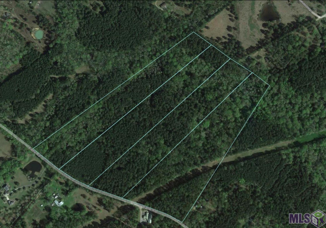 TBD LOT 1 BATTLE RD, ETHEL, LA 70730, photo 1