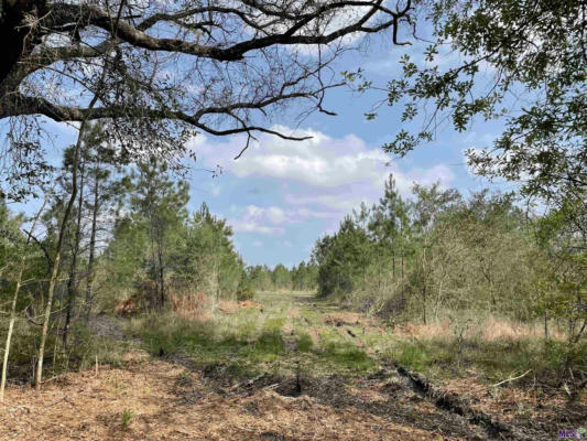 TRACT 14 LORIN WALL RD, HOLDEN, LA 70774 - Image 1
