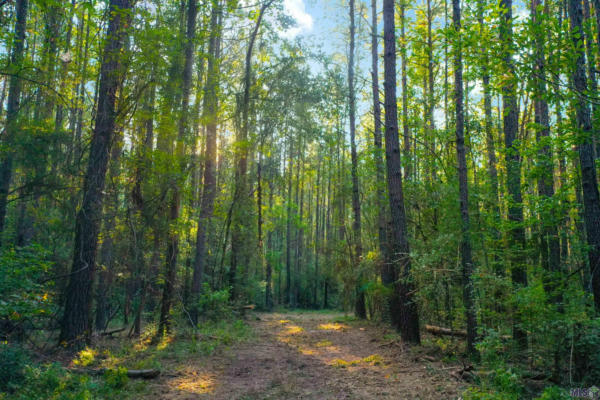 LOT 21 LA HWY 449, PINE GROVE, LA 70453, photo 5 of 9