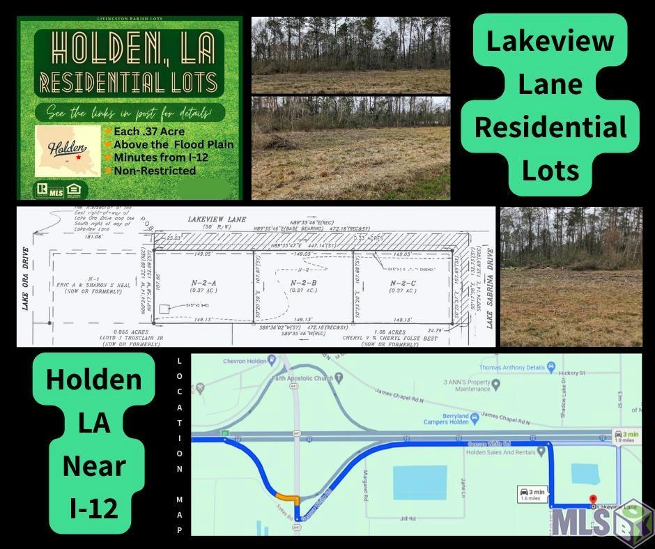 TBD LOT N-2-A LAKEVIEW LN, HOLDEN, LA 70744, photo 1 of 4