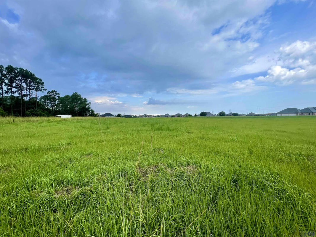 2898 HIGHWAY 311, SCHRIEVER, LA 70395, photo 1 of 6