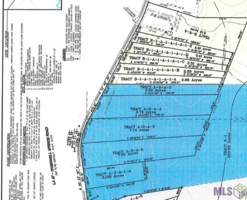 LOT C AND D GREENWELL SPRINGS RD, GREENWELL SPRINGS, LA 70739, photo 3 of 3