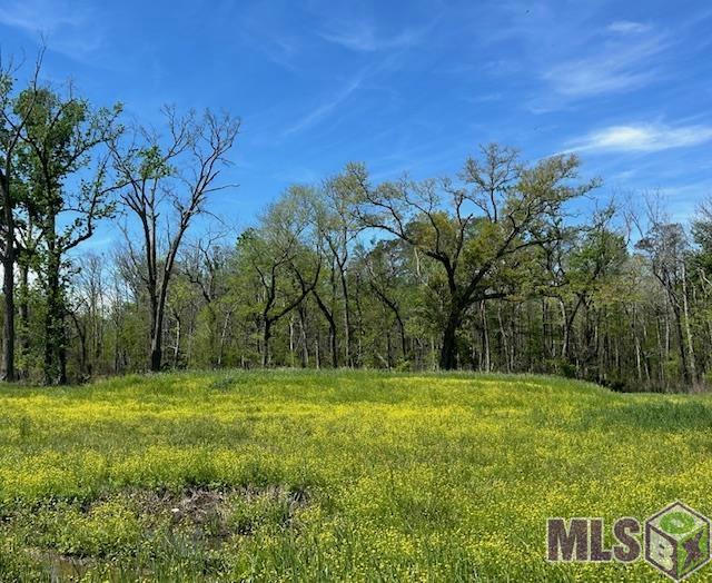 13023 BLUFF RD, GEISMAR, LA 70734, photo 1