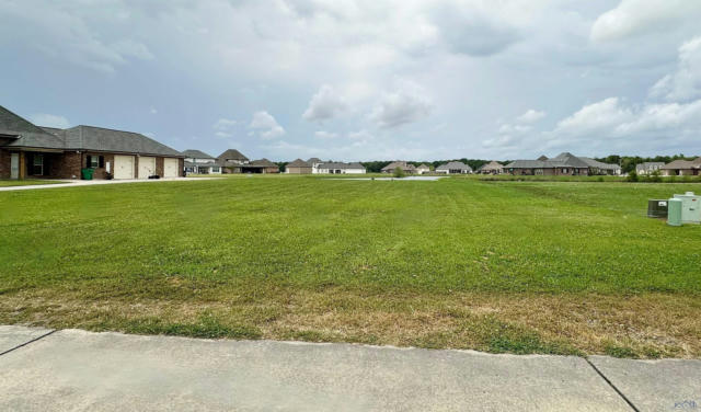 133 PERSIMMON DR, THIBODAUX, LA 70301 - Image 1