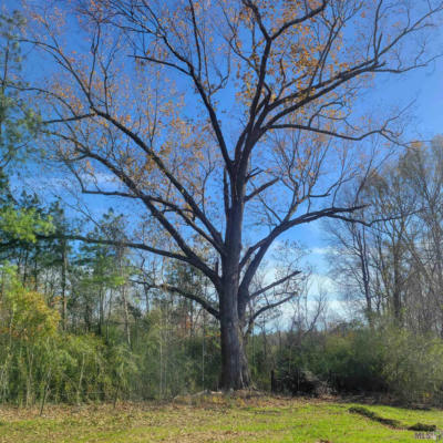 360 PERRY CT, WOODVILLE, MS 39669, photo 2 of 25