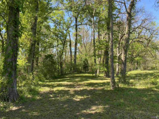 LOT 13B LA HWY 411, MARINGOUIN, LA 70757, photo 4 of 5