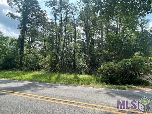 TBD HWY 16, DENHAM SPRINGS, LA 70726, photo 1 of 4