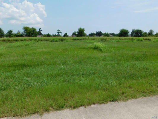 TBD TRIPLE RIDGE BLVD, CUT OFF, LA 70345 - Image 1