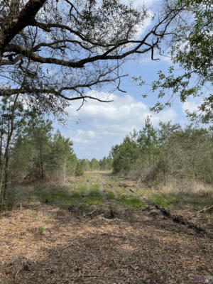 TRACT 10 LORIN WALL RD, HOLDEN, LA 70744, photo 3 of 4