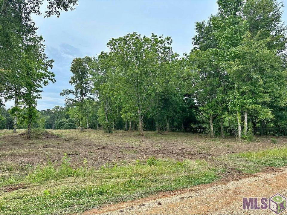 TBD MEGAN RD, JACKSON, LA 70748, photo 1 of 6