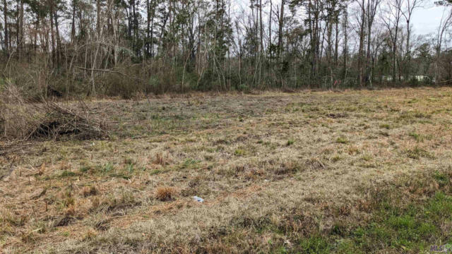 TBD LOT N-2-A LAKEVIEW LN, HOLDEN, LA 70744, photo 2 of 4