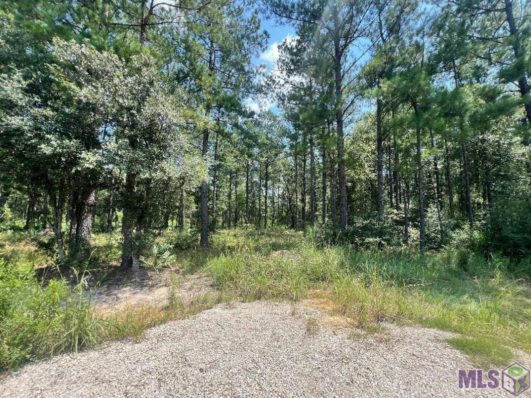 LOT 19 FROST RD, LIVINGSTON, LA 70754, photo 1 of 4