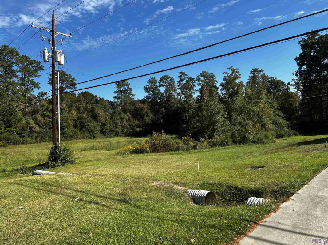 LA HWY 190, LIVINGSTON, LA 70754, photo 1