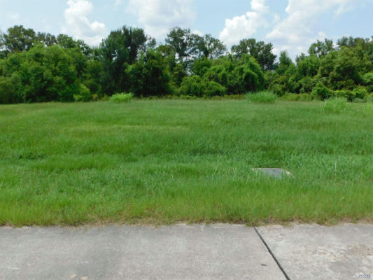 TBD TRIPLE RIDGE BLVD, CUT OFF, LA 70345 - Image 1